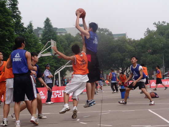 都是极为罕 都是极为罕